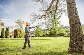 How Our Tree Care Process Works  in Ford Heights, IL